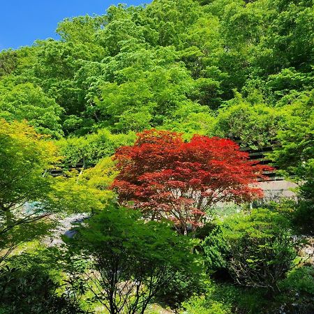 Ichimaru Ryokan - Vacation Stay 77851V Тенкава Екстер'єр фото